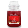 Świeca zapachowa w szkle świąteczna COCODOR JOYFUL SEASON 550 g