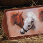 Taca z melaminy ASHDENE MAGNIFICENT HORSES WIELOKOLOROWA 38 x 16,5 cm