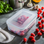 TESCOMA Freshbox 1,5 l - pojemnik na żywność hermetyczny plastikowy prostokątny