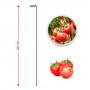 Tyczka do pomidorów metalowa ŚREDNIA ZIELONA 60 cm