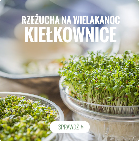 Rzeżucha na wielkanocny stół